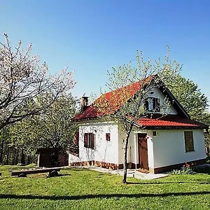 provjera dostupnosti